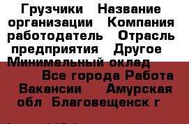 Грузчики › Название организации ­ Компания-работодатель › Отрасль предприятия ­ Другое › Минимальный оклад ­ 100 000 - Все города Работа » Вакансии   . Амурская обл.,Благовещенск г.